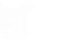 dfi: engage fanwar, homophobic, zionist, solo/akgae, tone deaf.